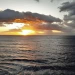 Sally Brassington - @brassington.sally - Instagram