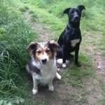 Sally Brian - @family.brianblueyonder.co.uk - Instagram