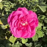 @sally_bricker - Instagram