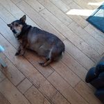 Sally Brock - @sally.brock.54 - Instagram