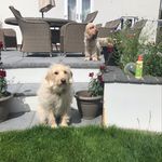 Sally Brock - @sallybrock1974 - Instagram
