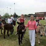 Sally Brockman - @sally_brockman - Instagram