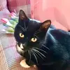 Sally Brookes - @sally.brookes4 - TikTok