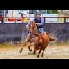 Sally Browne779 - @sallybrowne779 - TikTok