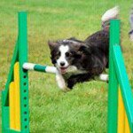 Sally Browne - @saledwards - Instagram