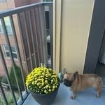Sally Browne Jenkins - @sallybrownejenkins - Instagram