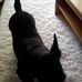 Sally Browning - Facebook