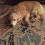 SALLY BROWNING - @browning_sally - Instagram