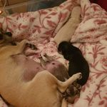 Sally - Bruno - Ludde - @mattes_small_lives - Instagram