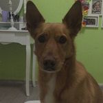 sally bruno🐶 - @_sally_bruno_ - Instagram
