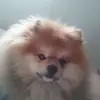 sallybruno555 - @sallybruno555 - TikTok