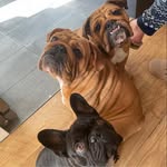 Sally Finch Was Buckman - @finchwasbuckman - Instagram