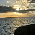 Sally Bunch - @sallybunch80 - Instagram