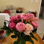 Terri Dodson - @sally_bunches - Instagram