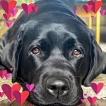 Sally Burch - @sallyburch78 - Instagram