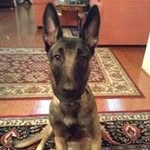Sally Burchill - @sallyburchill - Instagram