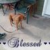 Sally Burdick - Facebook