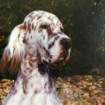 Sally Burger - @sallyburger67 - Instagram