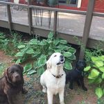 Sally Burke - @sallyburke439 - Instagram