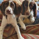 Sally Burke - @sallys_spanners - Instagram