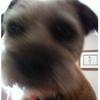 Sally Burrows - @sallyburrows69 - TikTok