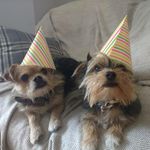 Sally Burt - @sallyjburt - Instagram
