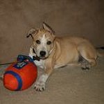 Sally Grambusch - @sallygrambusch - Instagram