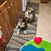 Sally Buswell - Facebook