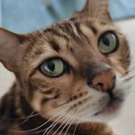 Sally Button - @button7457 - Instagram