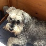 Sally Button - @sally.button.737 - Instagram