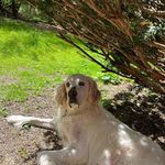 Sally - @sallybuttonwood - Instagram