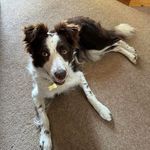 Sally A Cable - @salscable - Instagram