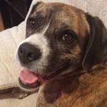 Sally Cabrera - @chussally - Instagram