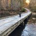 Sally Cagle Britt - Facebook
