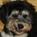 Sally Chase Callaghan - Facebook