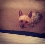 Sally Calvert - @sallycalvert_is_awsome_ - Instagram