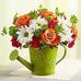 Sally Canfield - Facebook