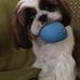 Sally Cann - Facebook
