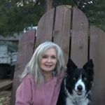 Sally Cannon - @cannon_sally - Instagram