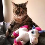 Sally - @sally_cannot_dance - Instagram