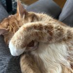 Sally Caputo - @sally.caputo.5 - Instagram