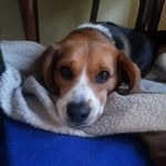 Sally Carpenter - @sallycarpenter434 - Instagram