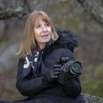 Sally Carpenter - @sallycarpenter1227 - Instagram