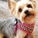 Sally Carpenter - @sallyjcarp - Instagram