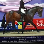 Sally Carpenter - @sally.carpenter.144 - Instagram