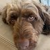 Sally Carpenter - Facebook