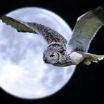 Sally Simonet Carrillo - @simonetcarrillo - Instagram