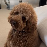 Sally Carroll - @sallyjaynecarroll - Instagram
