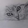 Sally Cartwright - @sallycart19769 - TikTok