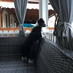 Sally Cary - @sally10cary - Instagram